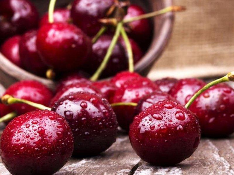 Вишня купить саженцы из питомника в Сочи